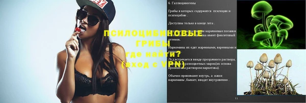 a pvp Алексин