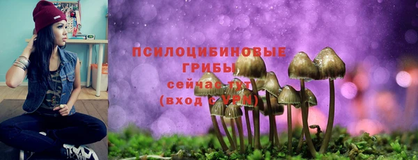 a pvp Алексин